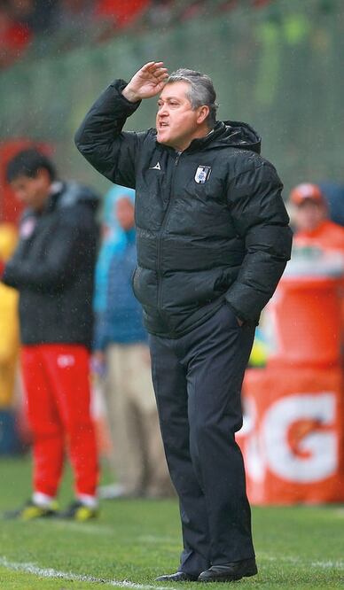 Gallos, un conjunto fortalecido