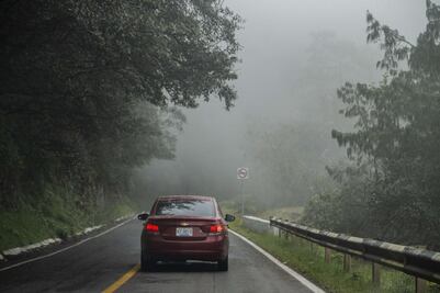 Neblina decora Pinal de Amoles 
