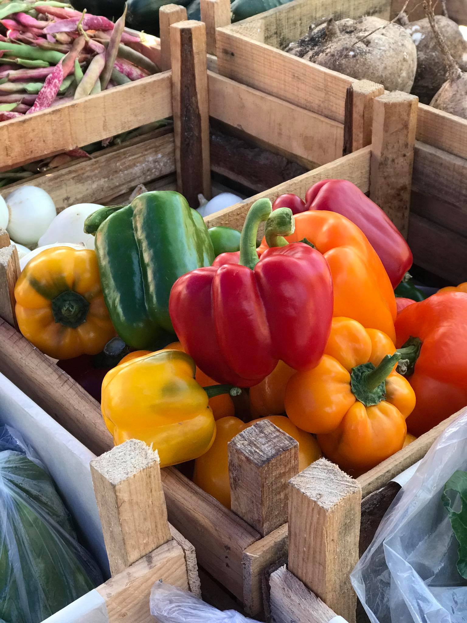 Estudiantes promueven consumo de productos universitarios