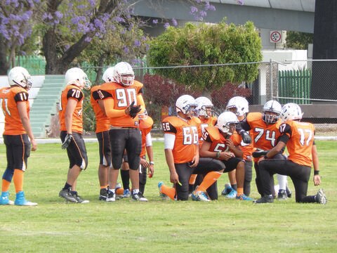 Zorros continúa con buena racha