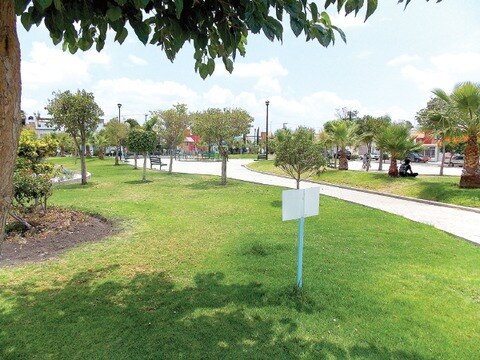 Se invierten 57 mdp en medio ambiente