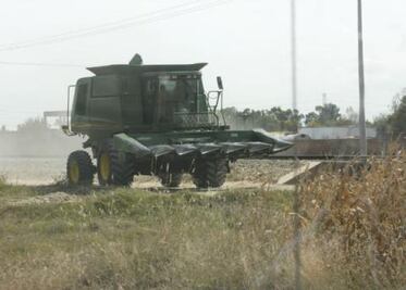 Reciben pago, productores de San Juan