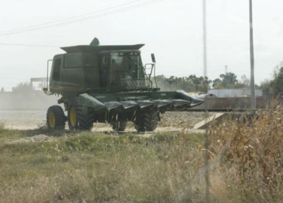 Reciben pago, productores de San Juan