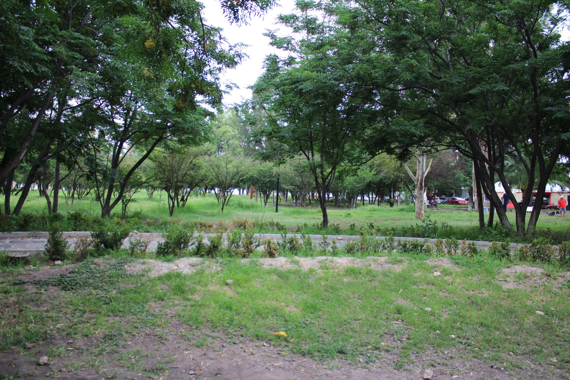La separación de basura se debe de hacer desde el mismo lugar donde se generen FOTO:Archivo
