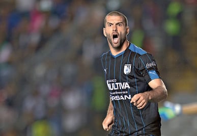 Gallos, a sacar la casta