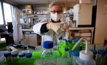 Covid-19: ¿Tratamiento de Donald Trump será aplicado a la población?