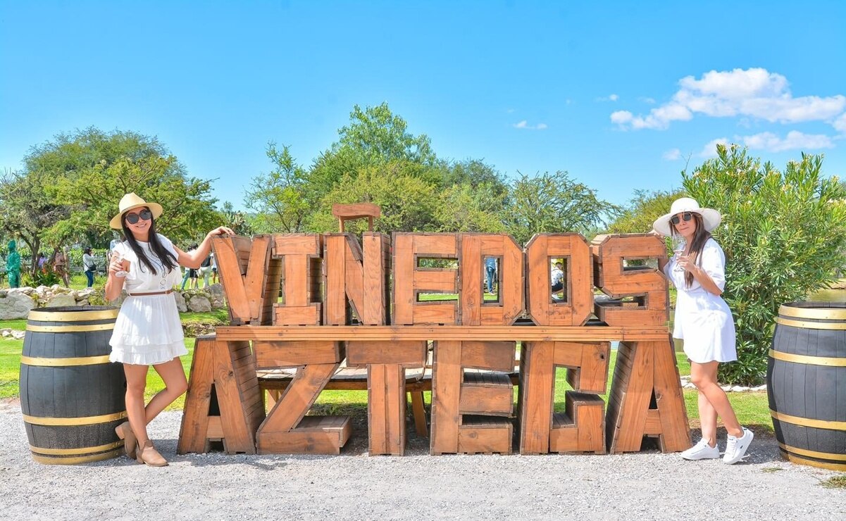 Foto: Viñedos Azteca.