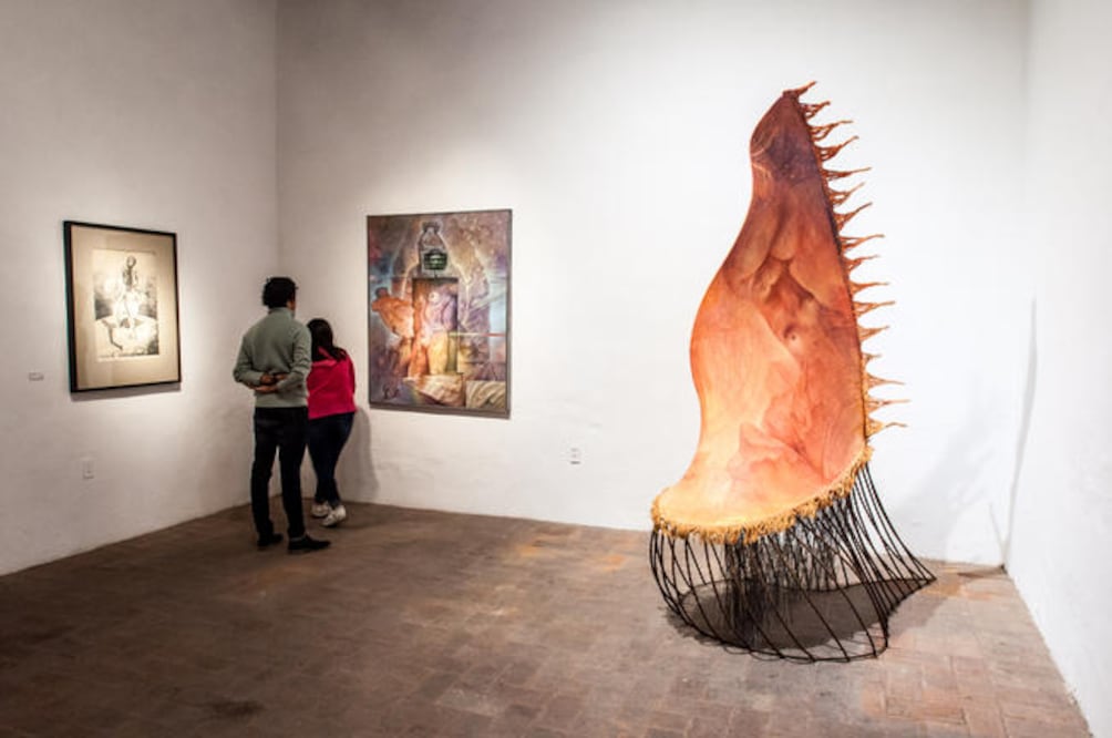 Una reflexión de la creación 