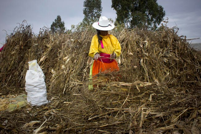 En México 13 millones de mujeres viven en comunidades rurales, donde una cuarta parte se encuentra en pobreza extrema; ninguna es dueña de las tierras que trabajan porque generalmente son heredadas a los hijos varones (CÉSAR GOMEZ. EL UNIVERSAL)