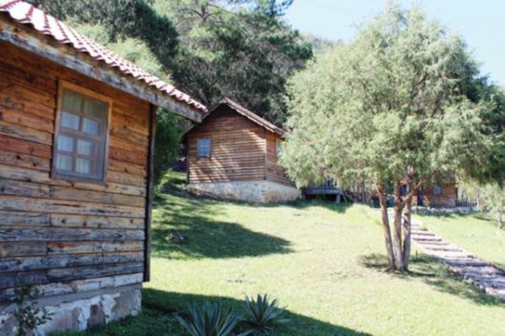 Premiarán a grupo ecológico en Berlín