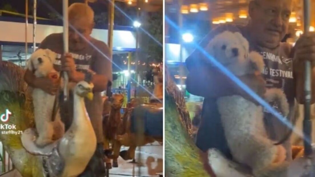 Video viral en TikTok | Fuente: Twitter @showmundialshow