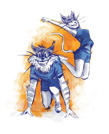 Gatos salvajes: mascotas de la UAQ con memoria histórica 