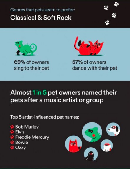 Spotify lanza listas de reproducción para tu perro