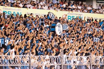 Gallos podría ser patrimonio intangible del estado