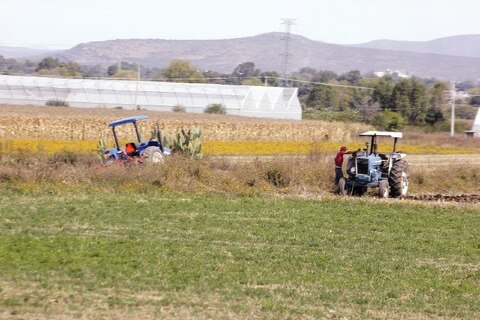 Apoyan a ejidos para producción
