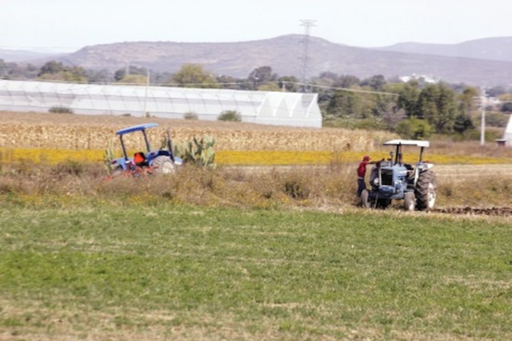 Apoyan a ejidos para producción