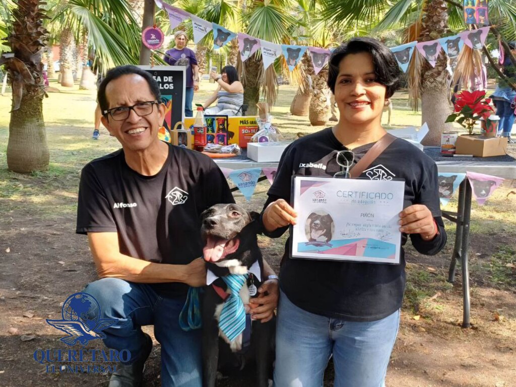 Un festejo que sirve para promover la adopción responsable