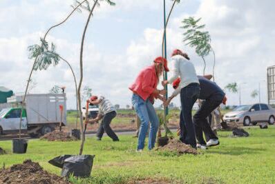 Impulsarán reformas ecológicas 