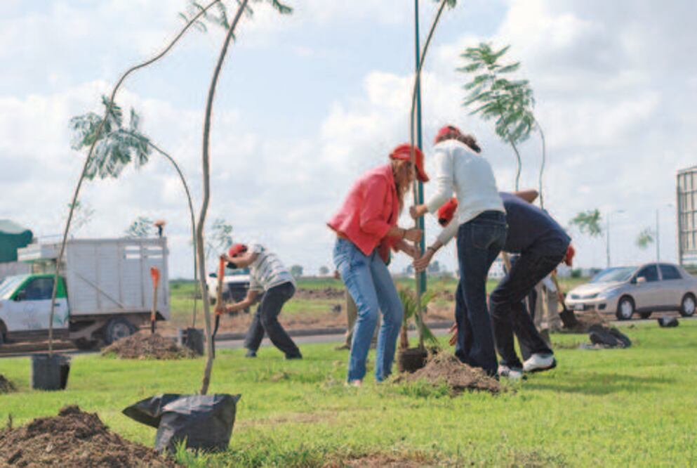 Impulsarán reformas ecológicas 