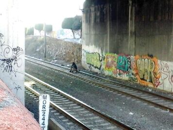 Se protegen del frío debajo del puente