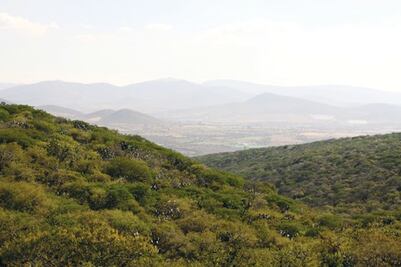 Semarnat protegerá 5 mil hectáreas más