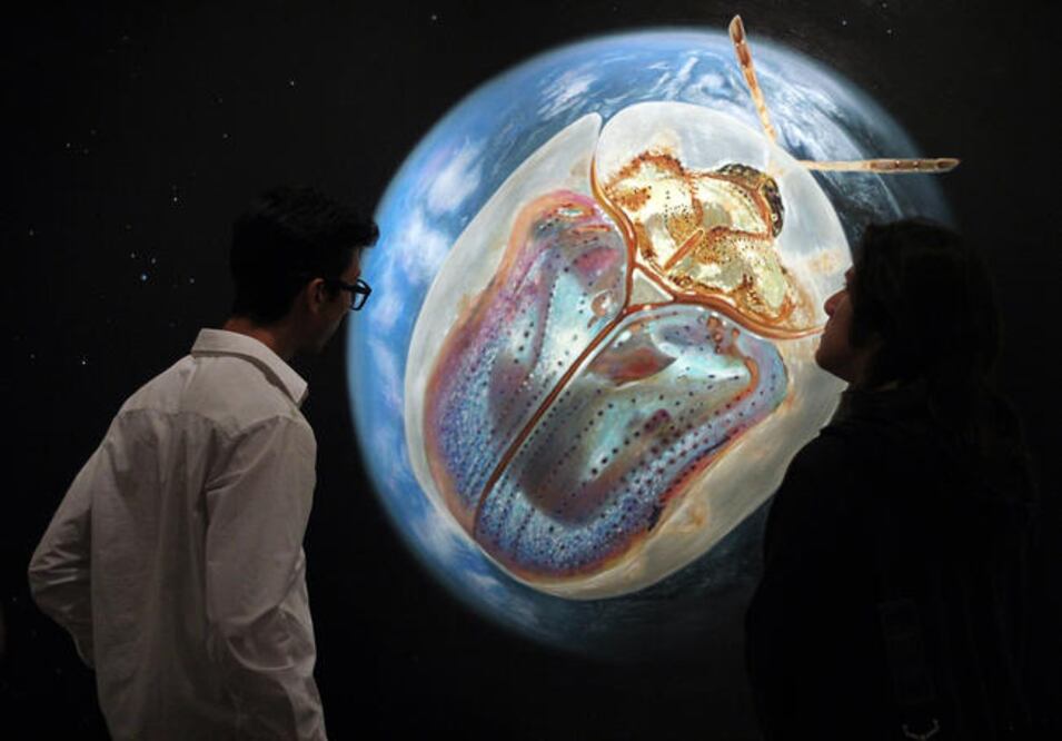 Aunque abordan temas distintos, todas las obras son figurativas (FOTOS: LUIS SÁNCHEZ. EL UNIVERSAL)