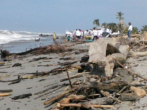 Baja turismo por huracanes