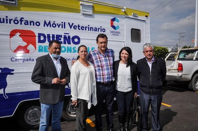 Trato digno en esterilización de mascotas