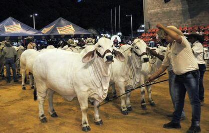 Buscan que feria  sea patrimonio cultural