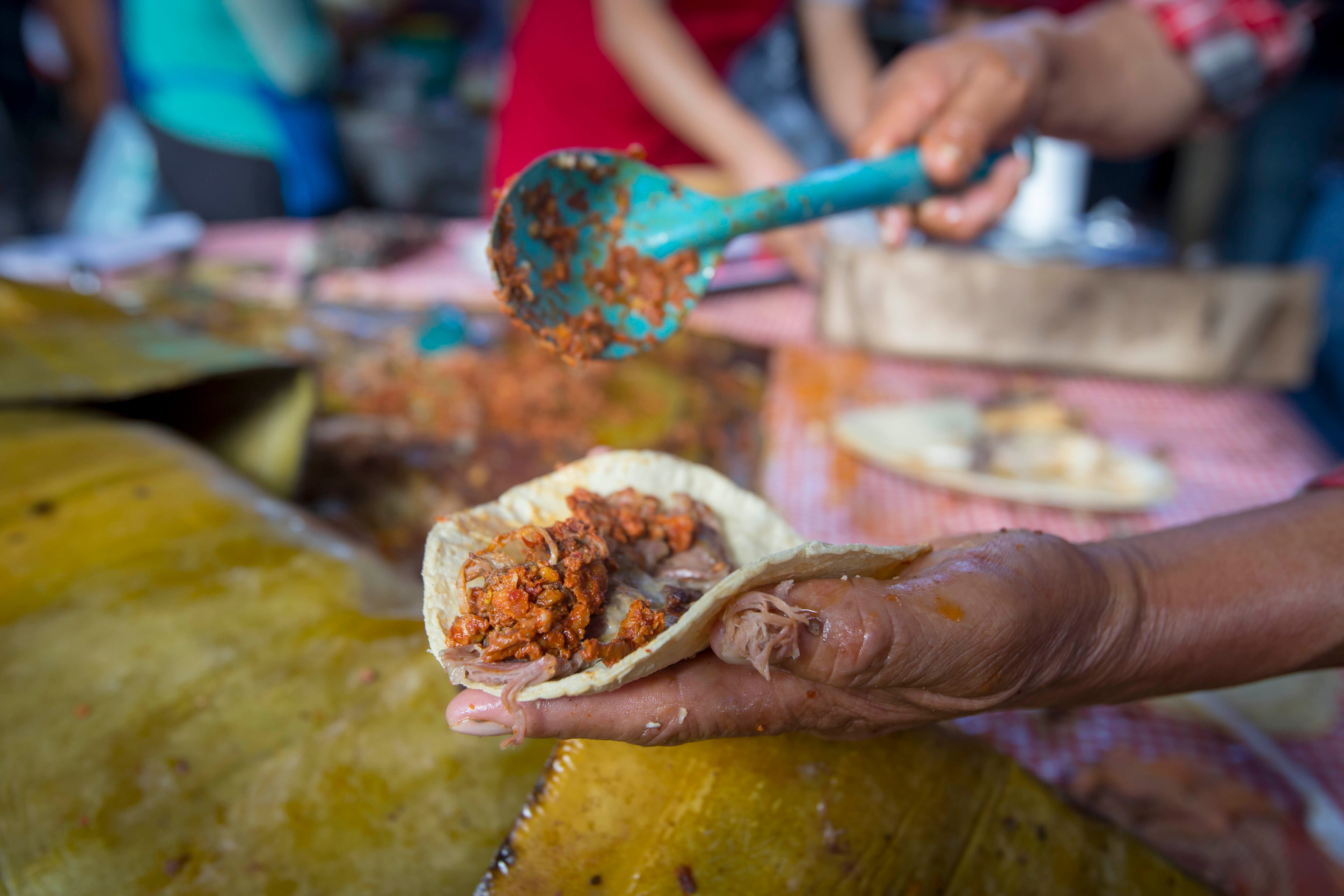 Sabor que pasa por generaciones en la Feria de la Barbacoa y el Pulque en Boyé