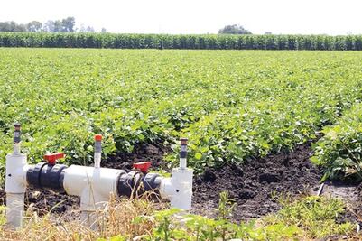 Sector campo repuntó 10% 