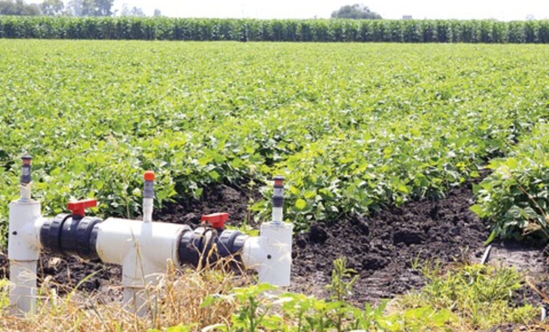 Sector campo repuntó 10%