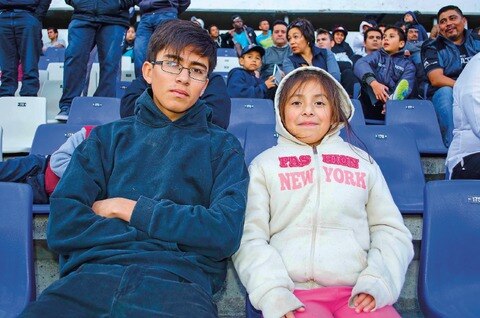 Gallos y afición se unen
