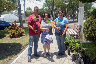 Arranca la iniciativa Adopta un Árbol