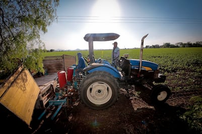 Rescatar el campo para rescatar a México