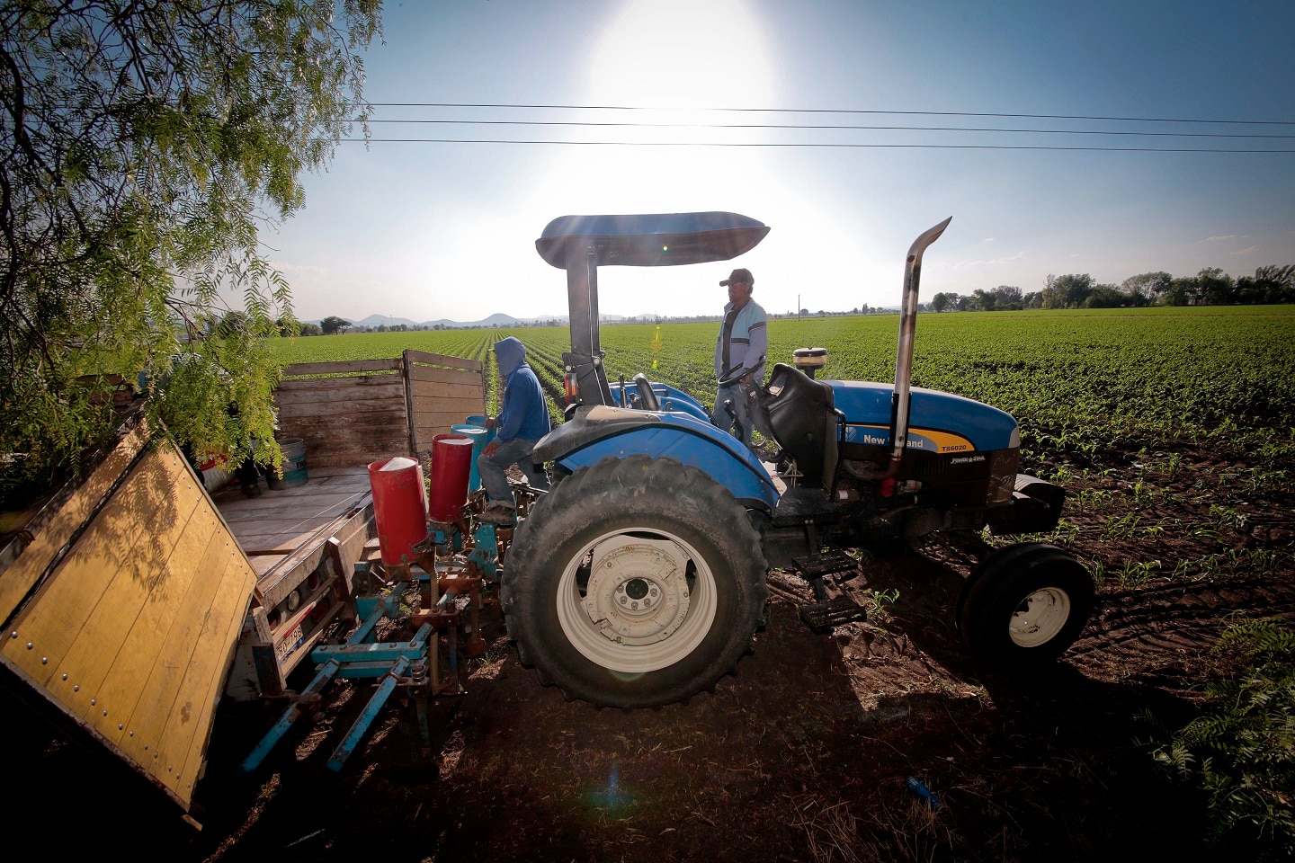 Rescatar el campo para rescatar a México