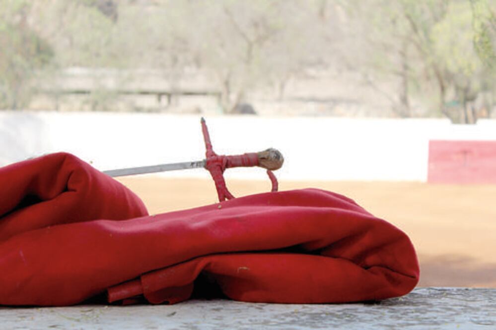 Piden evitar espectáculos con animales en feria del estado