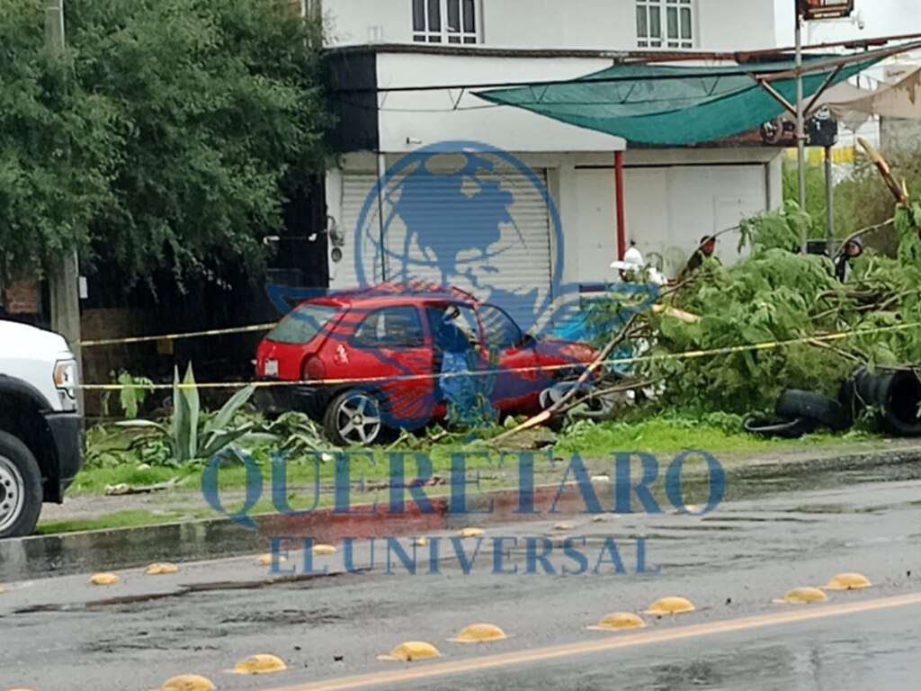 Foto: Ángel González