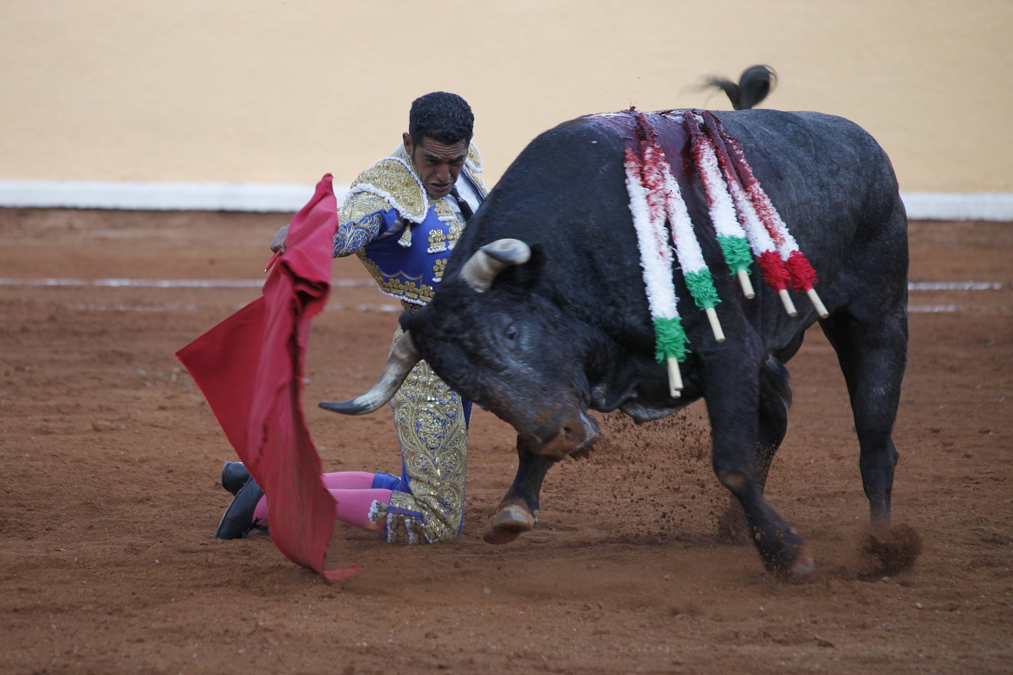 Ignacio Garibay, el triunfador