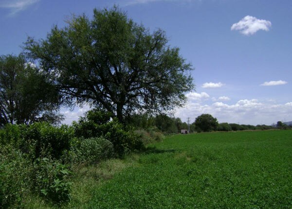 Ejidatarios denuncian despojo 