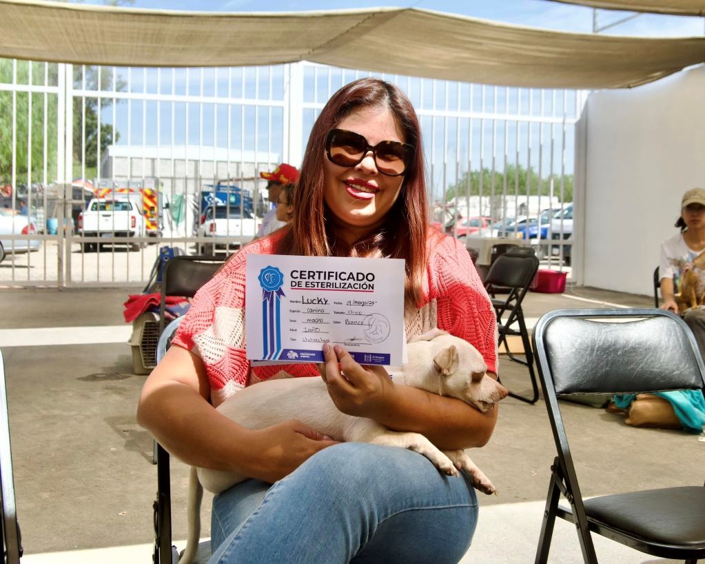El Marqués esterilizó de forma gratuita a 2 mil mascotas