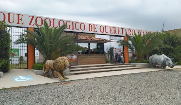 “Es terrible” lo que pasa en el Zoológico Wamerú