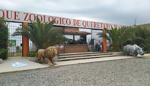 “Es terrible” lo que pasa en el Zoológico Wamerú