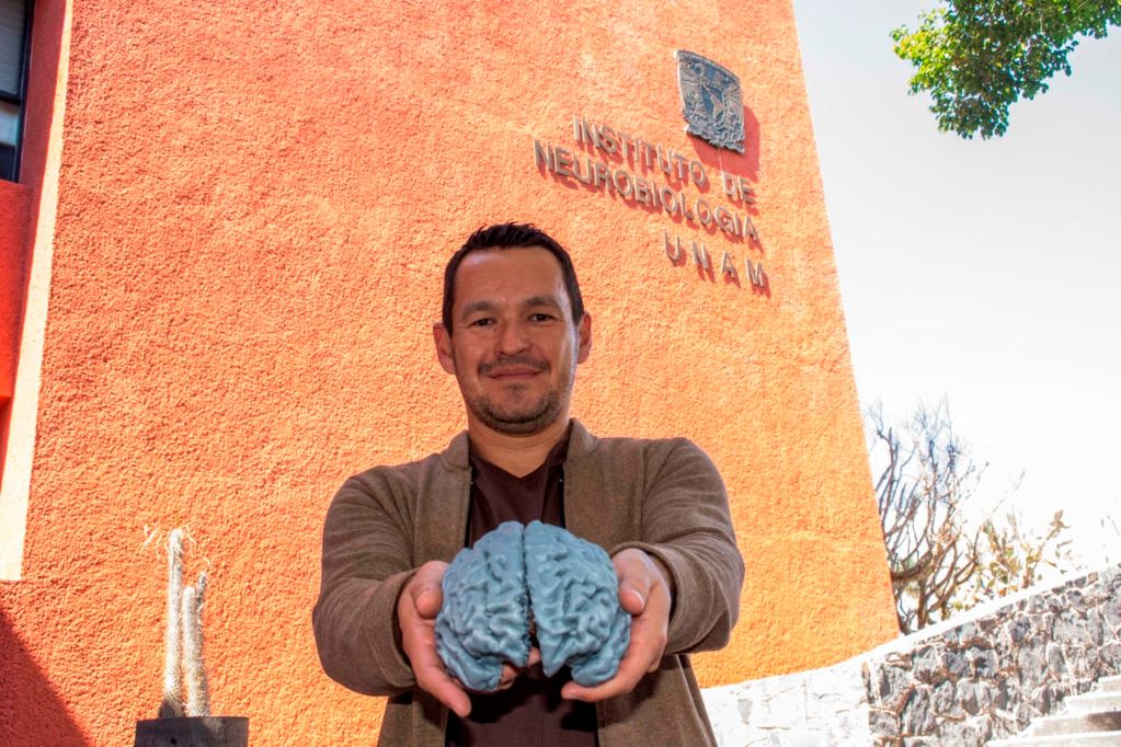 UNAM Juriquilla. Estudian la plasticidad cerebral