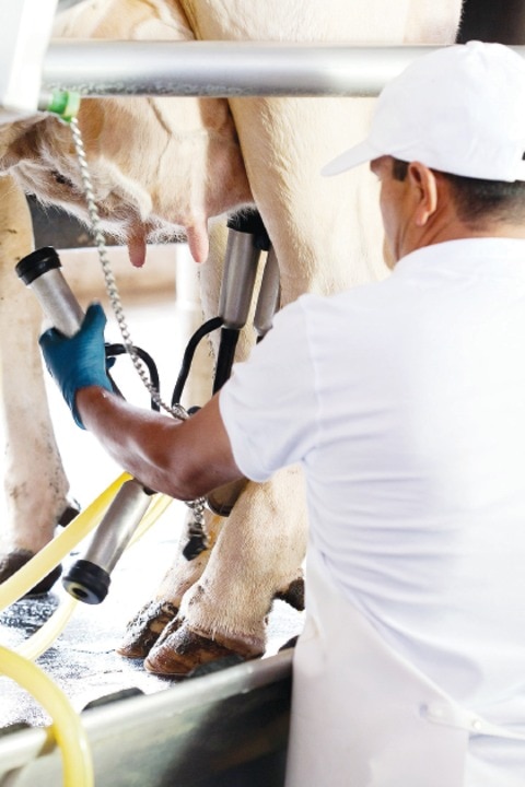 Aportará Ley Regulatoria 