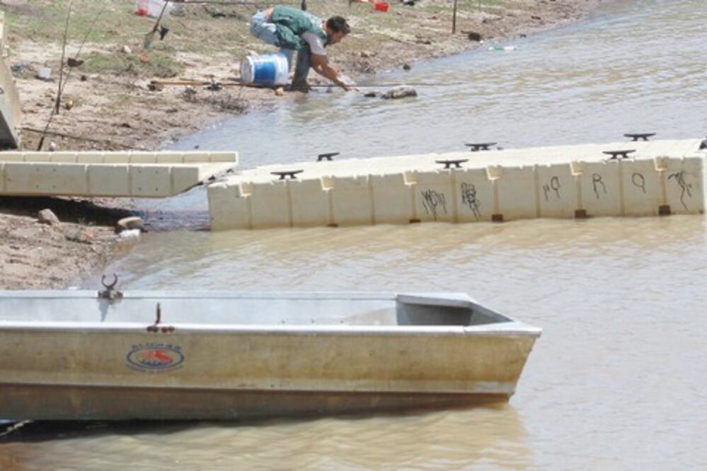 Estiman producir 100 ton de peces