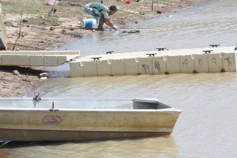 Estiman producir 100 ton de peces