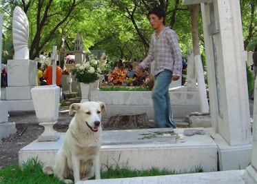 Municipio listo para festividades de día de muertos
