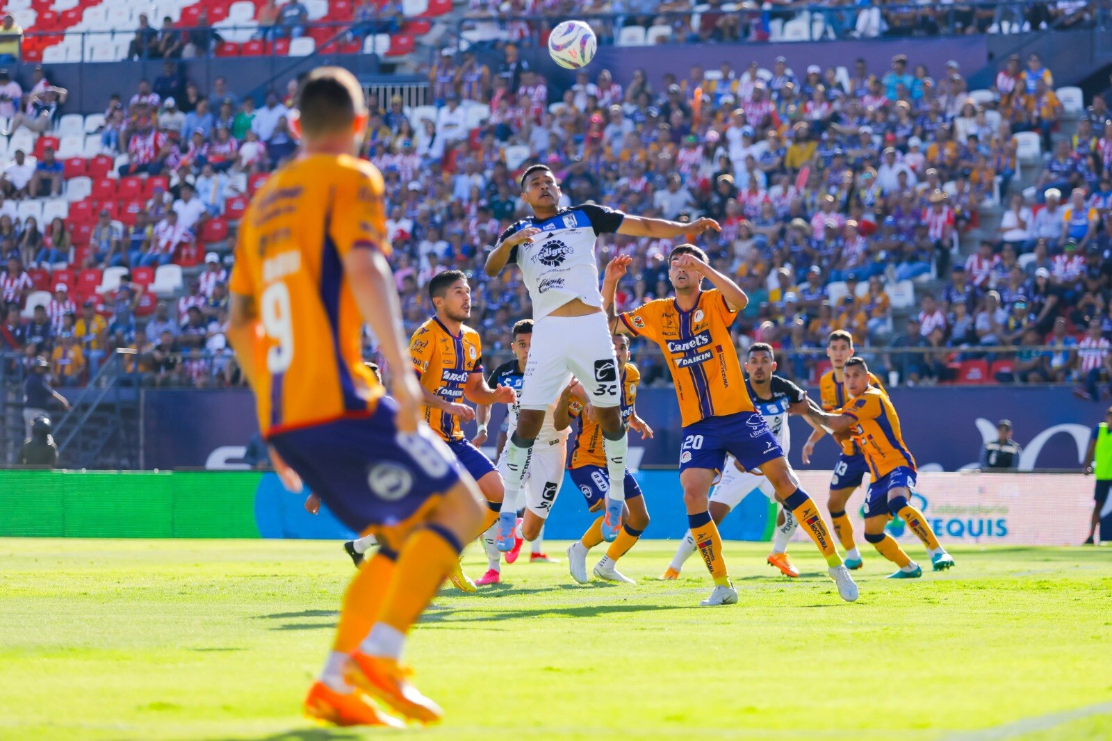 Los Gallos terminan desplumados en el Clásico de la 57