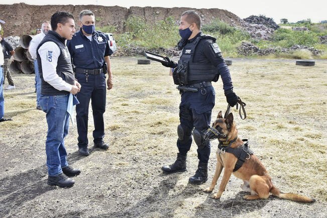 21 perrunos velan por la seguridad de los ciudadanos en Querétaro